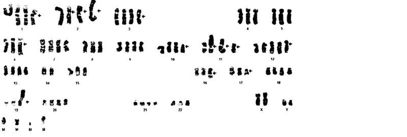 Illustration for article titled Name that disease